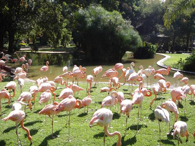 10 vườn thú đẹp và lớn nhất thế giới