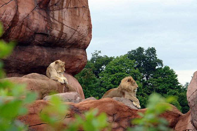 10 vườn thú đẹp và lớn nhất thế giới
