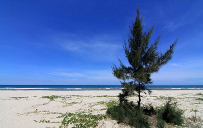 5 bãi biển đẹp không phải ai cũng biết ở Quảng Ngãi