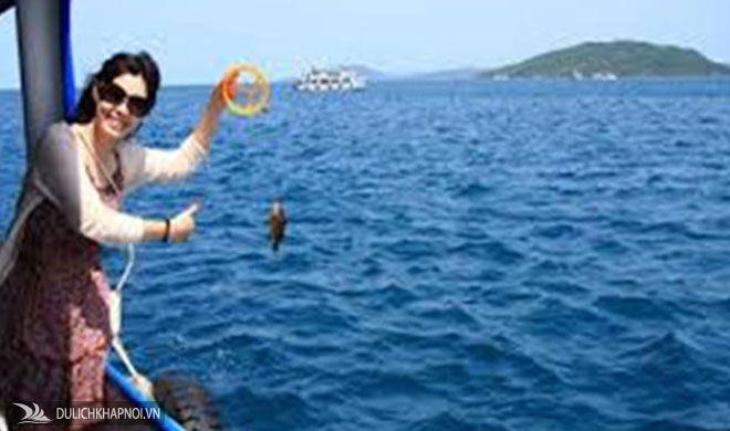 Tour Tết Phú Quốc, câu cá, lặn ngắm san hô