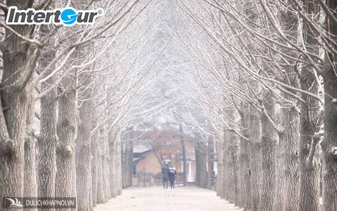 Đi Hàn Quốc mùa đông vui hết cỡ, rẻ bất ngờ