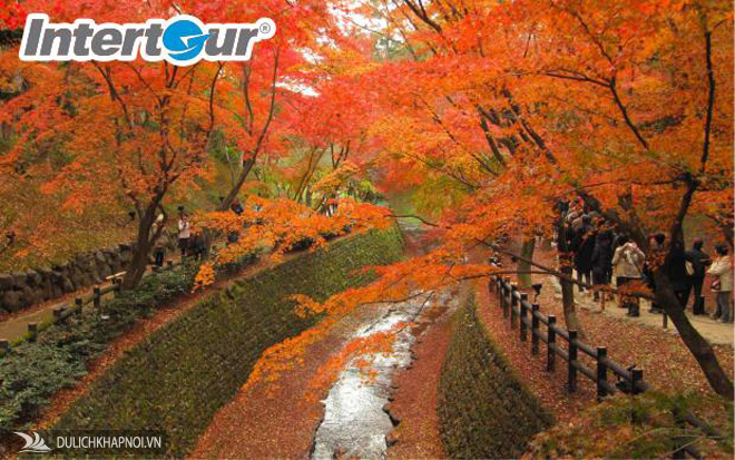 Trải nghiệm mùa thu lá đỏ Nhật Bản chỉ 21,9 triệu