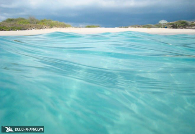 "Lịm tim" ngắm những bãi biển nước sạch nhất thế giới
