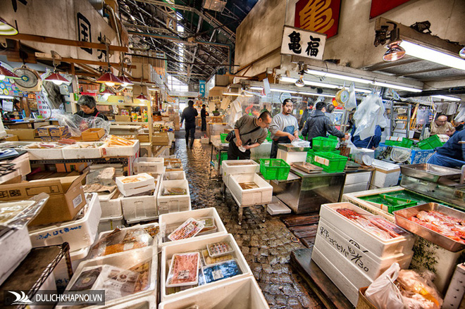 Đi chợ cá Tsukiji ăn 7 món ngon đường phố