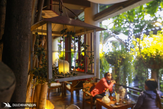 Độc đáo quán cà phê cheo leo trên cây cổ thụ ở Sài Gòn