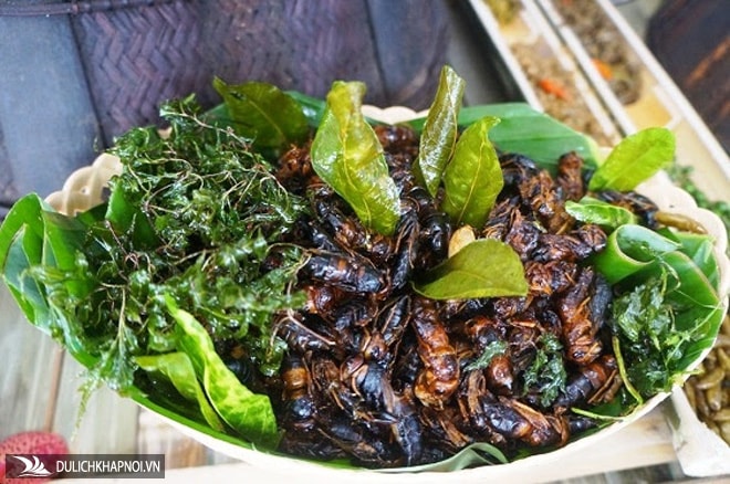 Say mắt với những món ăn độc lạ từ côn trùng của đồng bào dân tộc