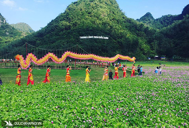"Lịm tim" trước vẻ đẹp thung lũng hoa lớn nhất Việt Nam ở xứ Lạng