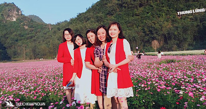 "Lịm tim" trước vẻ đẹp thung lũng hoa lớn nhất Việt Nam ở xứ Lạng