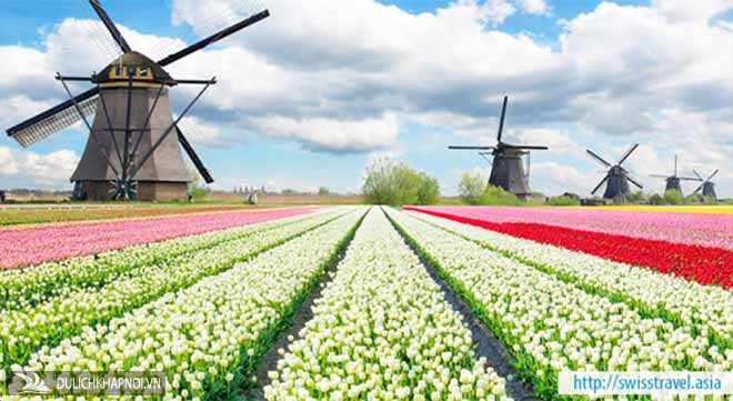 Tour xuân 5 nước - lễ hội hoa xuân tulip Hà Lan - Ảnh 4