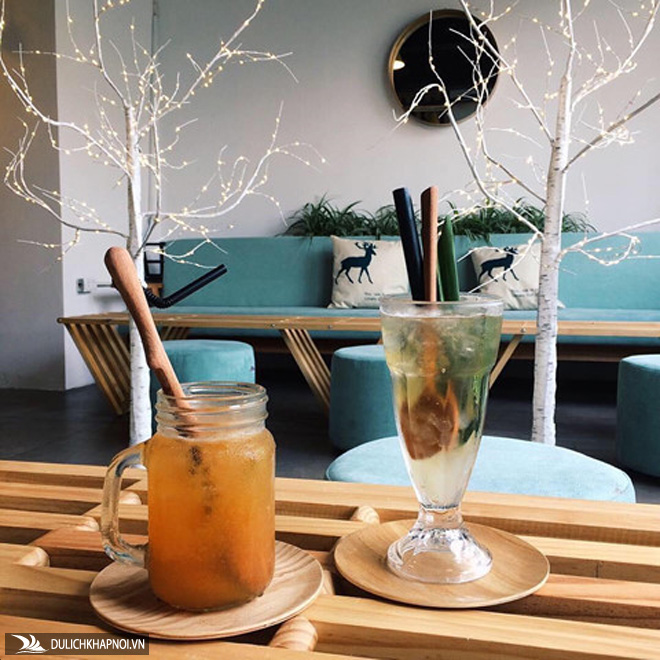 Điểm danh 4 quán cà phê cây cho ngày mát mẻ tại Hà Nội
