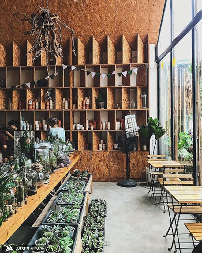 Điểm danh 4 quán cà phê cây cho ngày mát mẻ tại Hà Nội