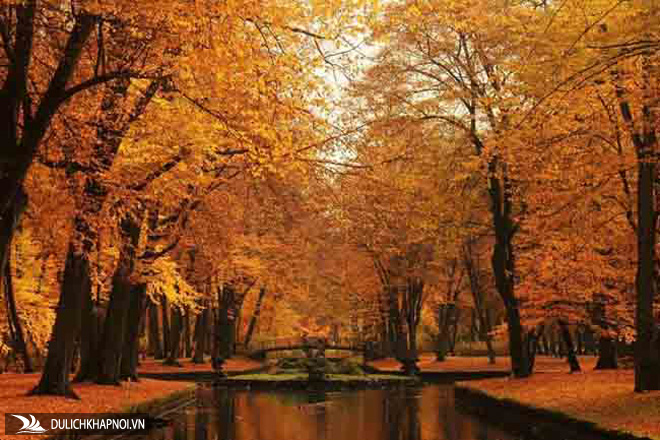 Mùa thu ở các nước trên thế giới rực rỡ và đẹp đến nhường nào?