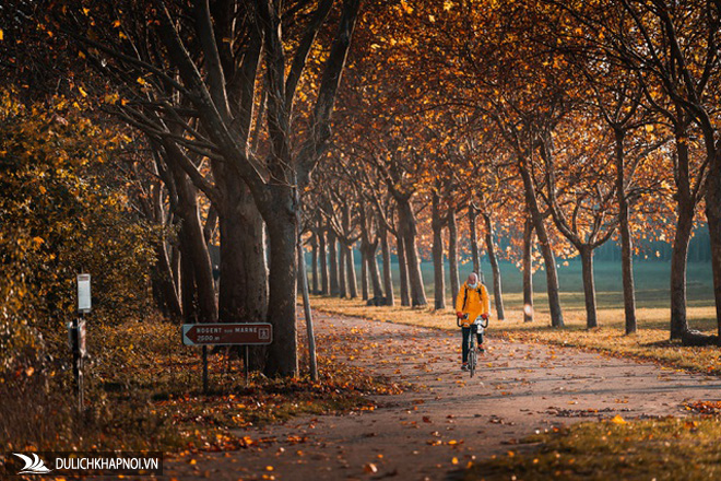 Choáng ngợp cảnh sắc đẹp như phim mùa cây thay lá ở Pháp