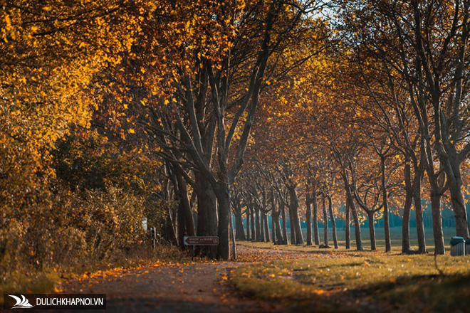 Choáng ngợp cảnh sắc đẹp như phim mùa cây thay lá ở Pháp