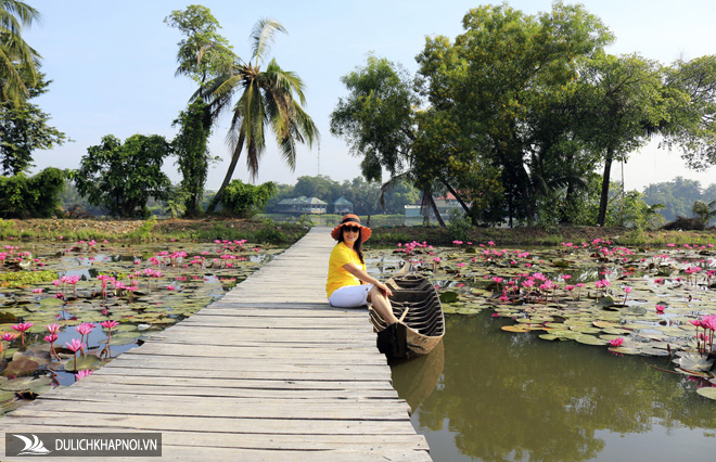 Say ngắm 'vườn hoa Đà Lạt' nở rộ bên sông Sài Gòn