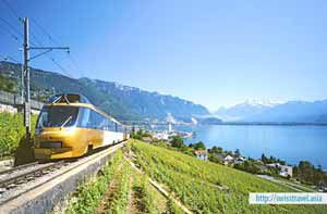 Đến Thụy Sĩ ngắm cảnh, tham quan Lucerne - Interlaken