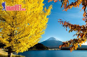 Vi vu Nhật Bản mùa thu vàng khuyến mãi 19,9 triệu