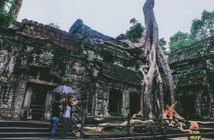 Ta Prohm - ngôi đền của những rễ cây kỳ dị