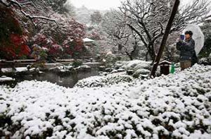 Ngắm tuyết rơi sớm tuyệt đẹp ở Nhật Bản