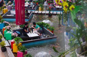 Những quán cà phê Sài Gòn nuôi cá cho khách ngồi xem