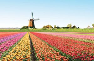Tour du lịch Pháp - Bỉ - Hà Lan