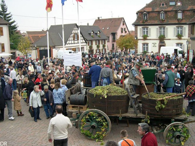 Mê hoặc con đường rượu vang vùng Alsace