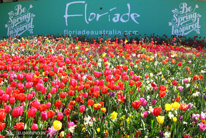 Tour Úc với lễ hội hoa Floriade, giá 28,9 triệu