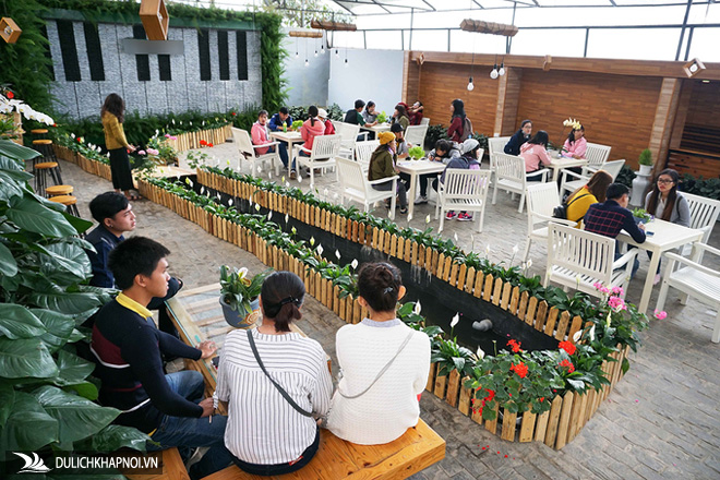 Trải nghiệm quán cà phê ngồi trong nhà kính trồng rau ở Đà Lạt