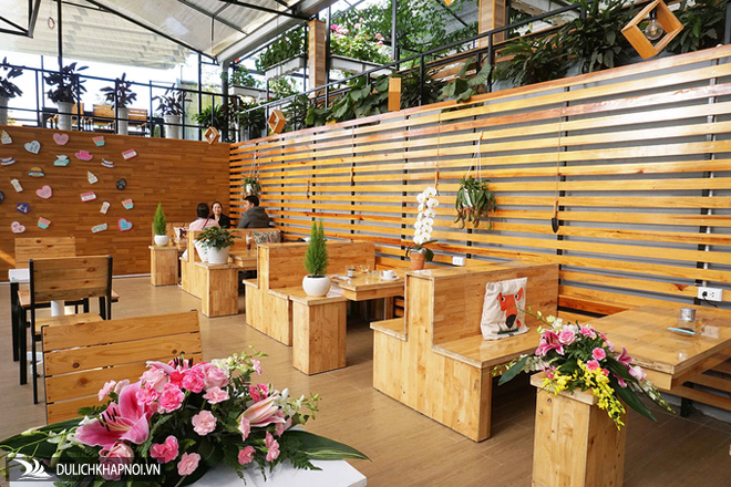Trải nghiệm quán cà phê ngồi trong nhà kính trồng rau ở Đà Lạt