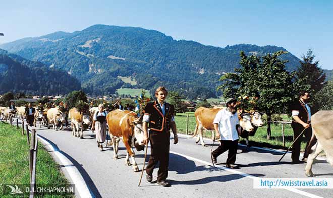 Đến Thụy Sĩ ngắm cảnh, tham quan Lucerne - Interlaken - Ảnh 6