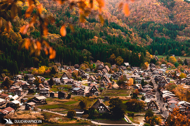 4 điểm dừng cho hành trình khám phá mùa thu Nhật Bản