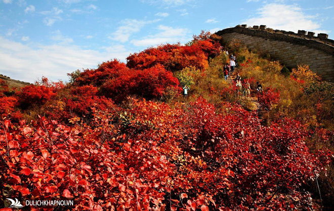 5 khu rừng lá vàng, đỏ nổi tiếng ở Trung Quốc
