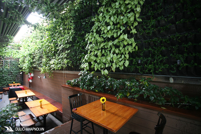 Quán cà phê với những mảng tường ngập lá xanh ở Sài Gòn