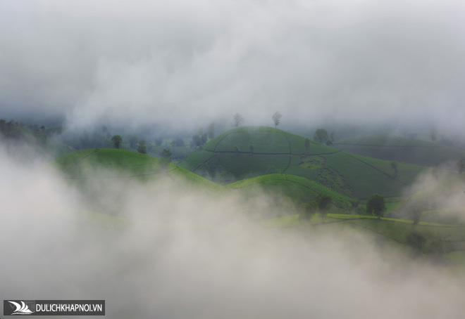 Sương vờn mây trên đồi chè Long Cốc