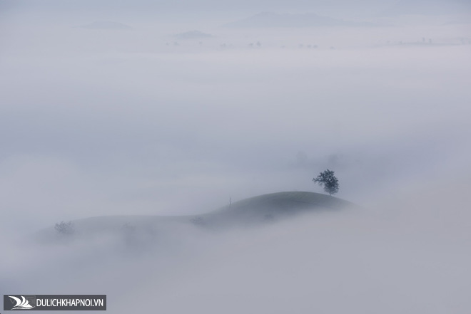 Sương vờn mây trên đồi chè Long Cốc