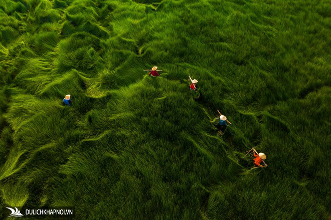 5 ảnh Việt Nam đạt giải ảnh chụp trên cao
