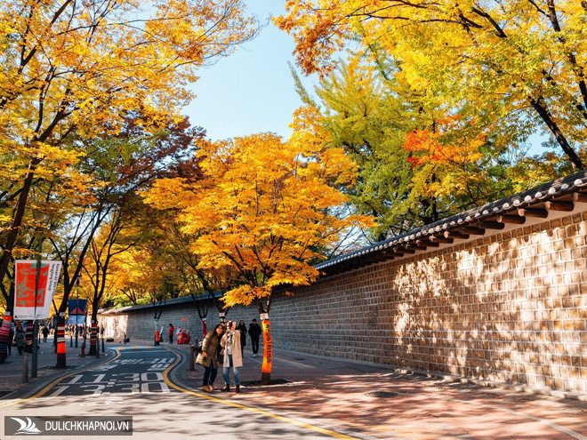 Nơi chụp ảnh mùa thu đẹp nhất Hàn Quốc