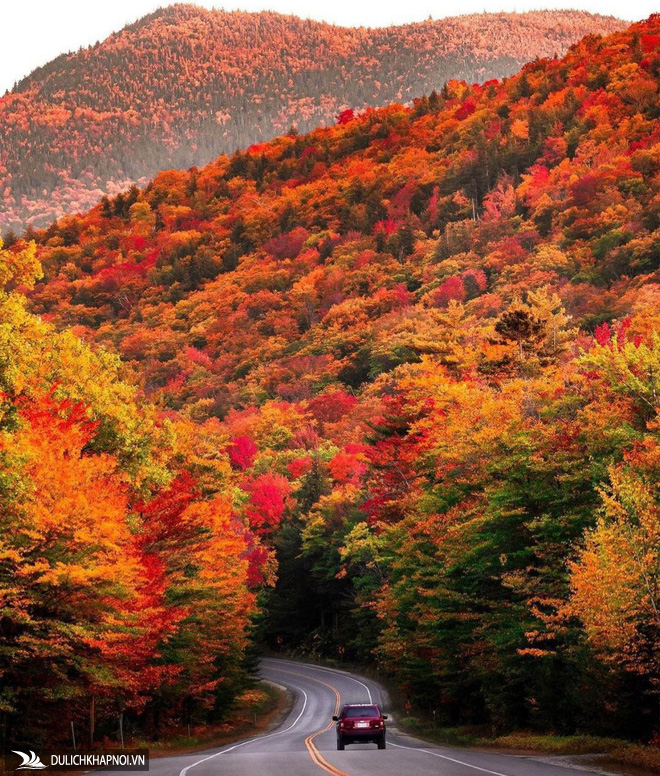 Cung đường cao tốc phủ kín rừng cây lá đỏ ở Mỹ