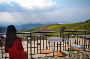 5 quán cà phê cho khách ngồi giữa núi rừng Đà Lạt