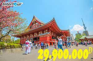 Tour Nhật Bản đón Tết Nguyên đán siêu tiết kiệm