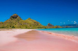 Những bãi biển màu hồng đẹp như mơ khắp thế giới