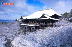 Ưu đãi 5 triệu đồng tour mùa đông Nhật Bản