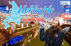 Cháy vé tour charter Hokkaido - ưu đãi 6 triệu đồng