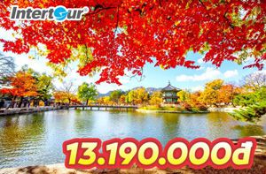 Trải nghiệm mùa thu Hàn Quốc đúng điệu chỉ 13,19 triệu