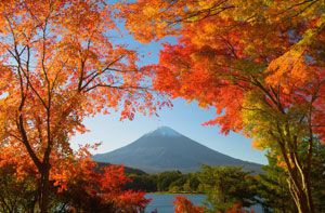 Khám phá Nhật Bản mùa lá đỏ 6N5Đ