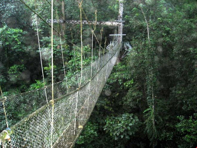 Khám phá vẻ bí ẩn, huyền bí của Vườn quốc gia Gunung Mulu Khám phá vẻ bí ẩn, huyền bí của Vườn quốc gia Gunung Mulu