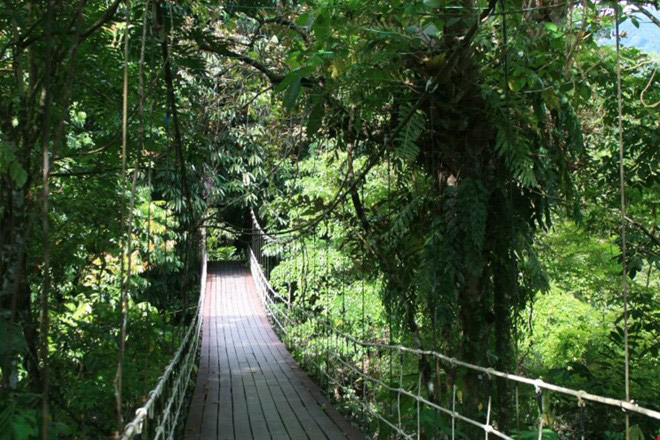 Khám phá vẻ bí ẩn, huyền bí của Vườn quốc gia Gunung Mulu Khám phá vẻ bí ẩn, huyền bí của Vườn quốc gia Gunung Mulu