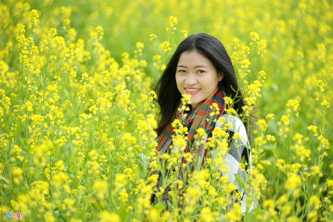 Đồng hoa cải nở rộ ở Hà Nội Đồng hoa cải nở rộ ở Hà Nội