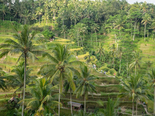 Du lịch Indonesia qua 15 bức ảnh thắng cảnh đẹp tới Du lịch Indonesia qua 15 bức ảnh thắng cảnh đẹp tới