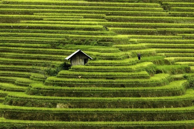 Ngất ngây vẻ đẹp Việt Nam trên trang ảnh nước ngoài Ngất ngây vẻ đẹp Việt Nam trên trang ảnh nước ngoài